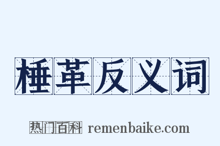 棰革反义词是什么意思的图片